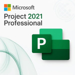 Project 2021 Professional