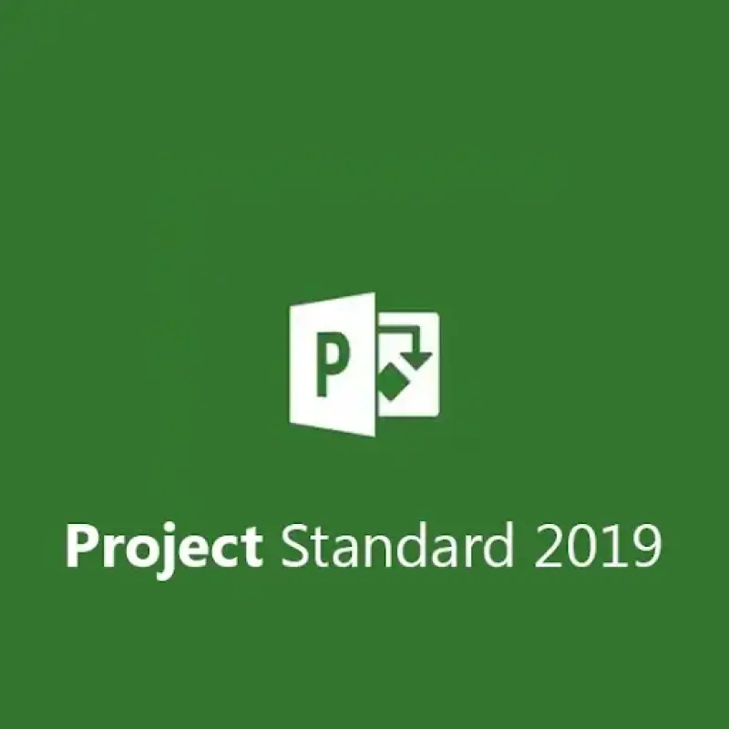 Project 2019 Standard