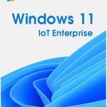 Microsoft Windows 11 IoT Enterprise Subscription