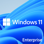 Microsoft Windows 11 Enterprise N