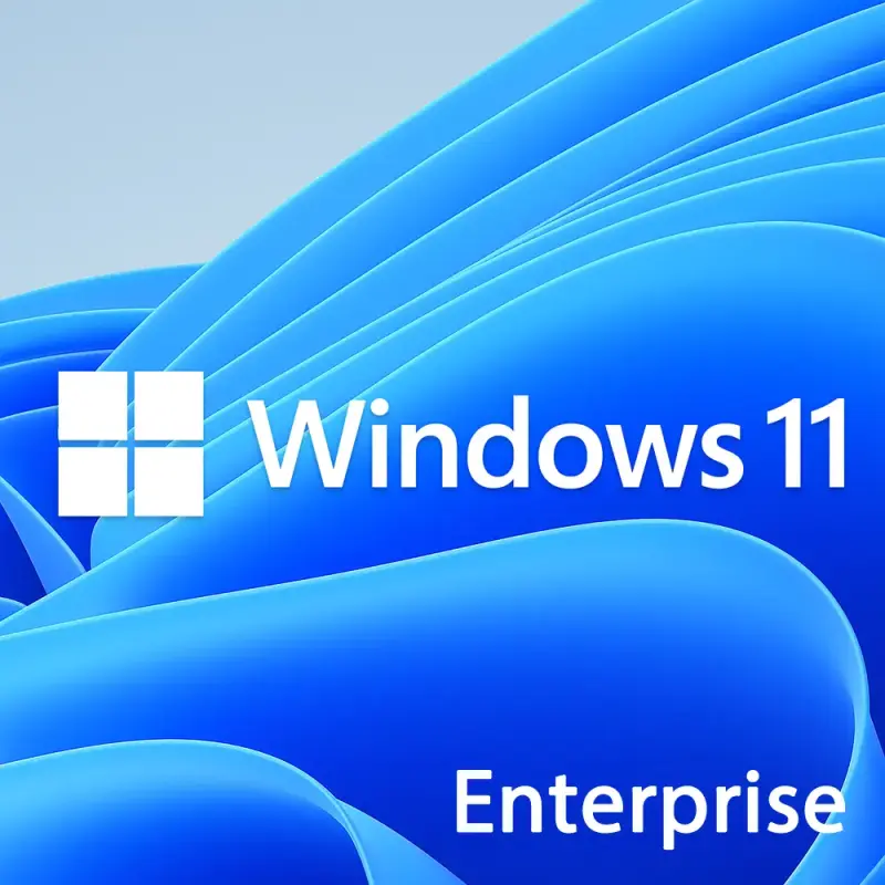 Microsoft Windows 11 Enterprise N